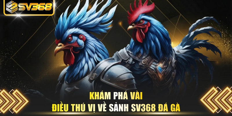 Phát sóng các trận chọi kê gắn cựa dao kịch tính